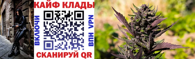 Как найти закладки Агидель МЕТАМФЕТАМИН  Мефедрон  Альфа ПВП  Марихуана  КОКАИН 