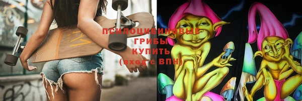 прущие грибы Абинск