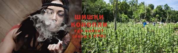 трава Абаза