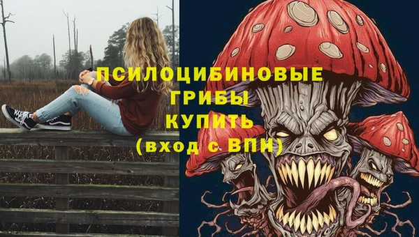 трава Абаза