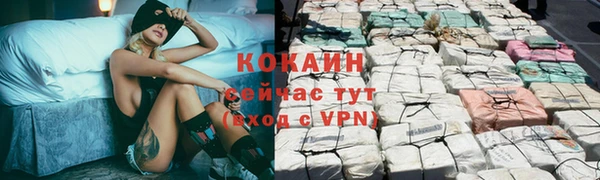 трава Абаза